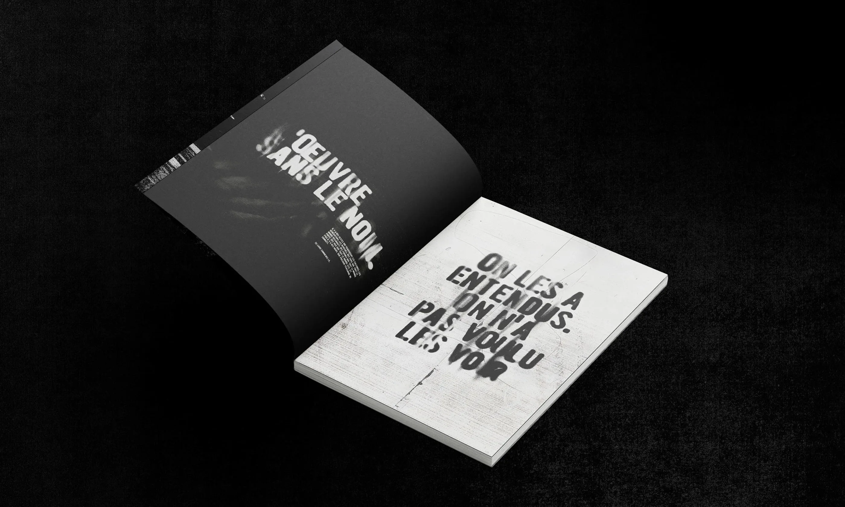 Beyond Silence — conception éditoriale du livre, visuel 1